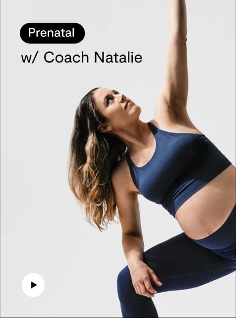 Trainer 5